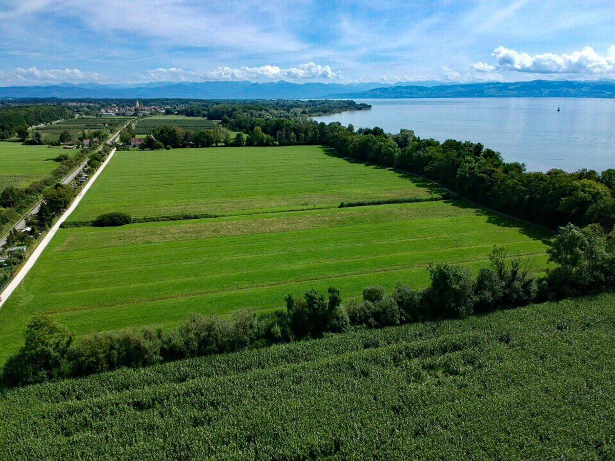 Ferien-Apartment Eisvogel Im Naturschutzgebiet Mit Privatstrand Friedrichshafen Ngoại thất bức ảnh