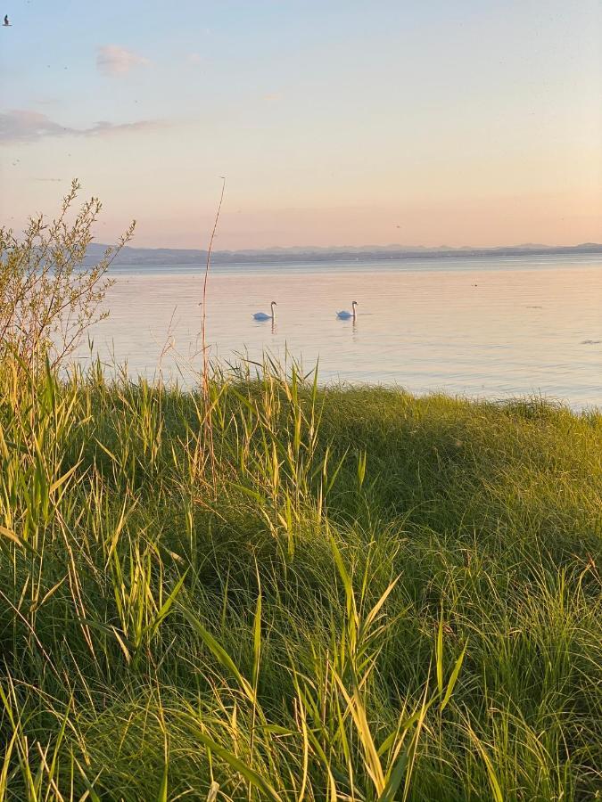 Ferien-Apartment Eisvogel Im Naturschutzgebiet Mit Privatstrand Friedrichshafen Ngoại thất bức ảnh