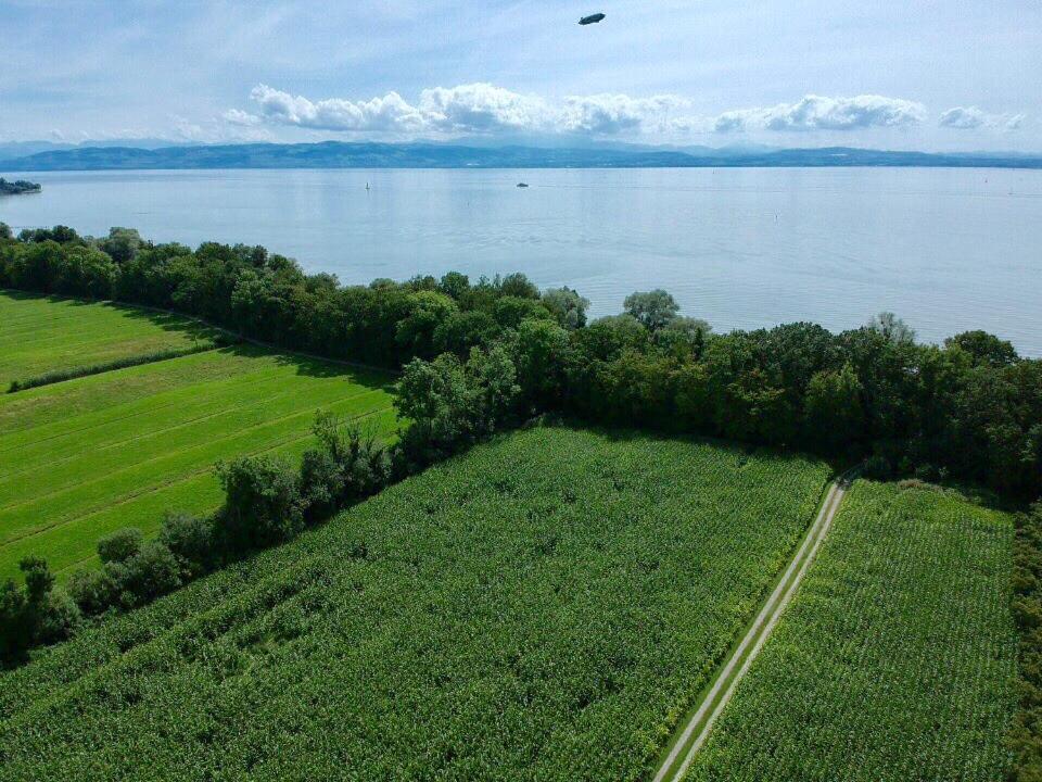 Ferien-Apartment Eisvogel Im Naturschutzgebiet Mit Privatstrand Friedrichshafen Ngoại thất bức ảnh