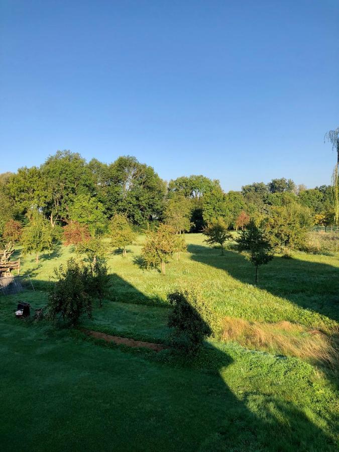 Ferien-Apartment Eisvogel Im Naturschutzgebiet Mit Privatstrand Friedrichshafen Ngoại thất bức ảnh